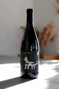 Вино Villa di Alma Вилла ди Альма   Шардоне   выдержанное сухое 2022  750 мл  12,5%