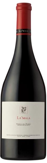 Вино Dominio de Atauta  La Mala  2010 750 мл