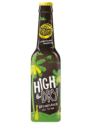 Пиво Craft Akademy High & Dray Крафт Академия Хай энд Драй 330 мл