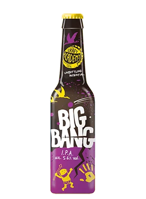 Пиво Craft Academy Big Bang IPA Крафт Академи Биг Бэнг ИПА 330 мл