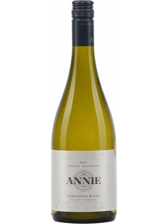 Вино Bodegas y Vinedos de Aguirre Annie Sauvignon Blanc Special Selection DO  2021  750 мл