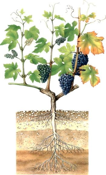 А что под землей?