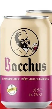 Пиво Van Honsebrouck Bacchus Frambozenbier  Ван Хонзенбрук  Бахус  Фрамбуаз ж/б 330  мл