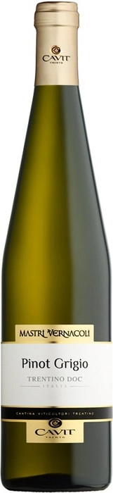 Вино "Mastri Vernacoli" Pinot Grigio  Trentino DOC  2023  750 мл