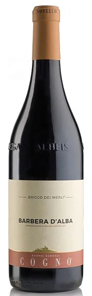 Вино Elvio Cogno Barbera d' Alba Bricco dei Merli DOC 2023 750 мл