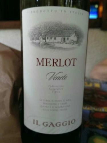 Вино Il Gaggio Merlot Veneto 2019 750 мл
