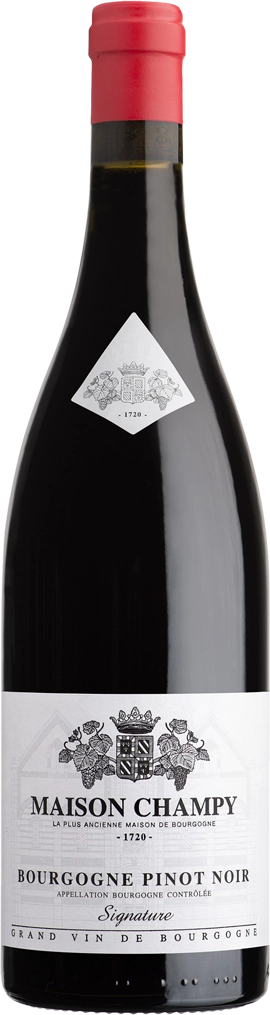 Вино  Maison Champy  Bourgogne Pinot Noir Cuvée Edmé "Signature"    2019 750 мл