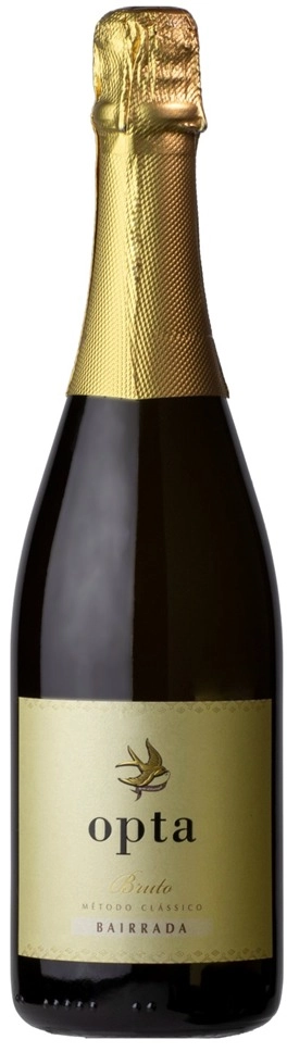 Игристое вино Boas Quintas Opta Espumante Bruto 750 мл