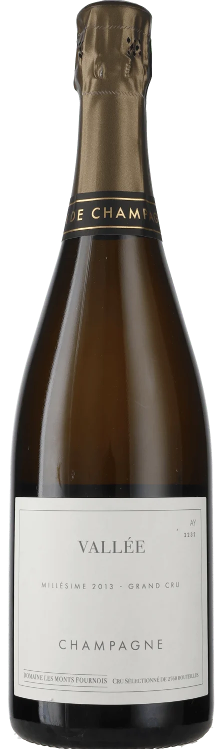 Шампанское Domaine les Monts Fournois Vallée Aÿ Grand Cru 2013  750 мл 
