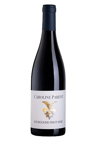 Вино Caroline Parent Bourgogne Pinot Noir  2020 750 мл 14 %
