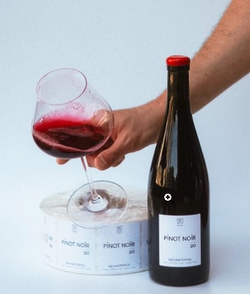 Вино STN Андрея Доллингера СТН Пино Нуар 2022 1500 мл