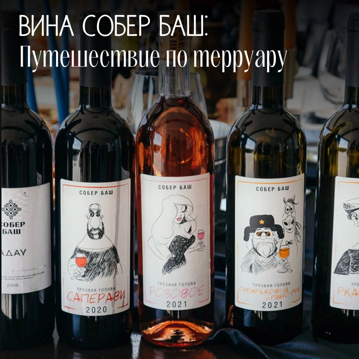Вина Собер Баш: Путешествие по терруару