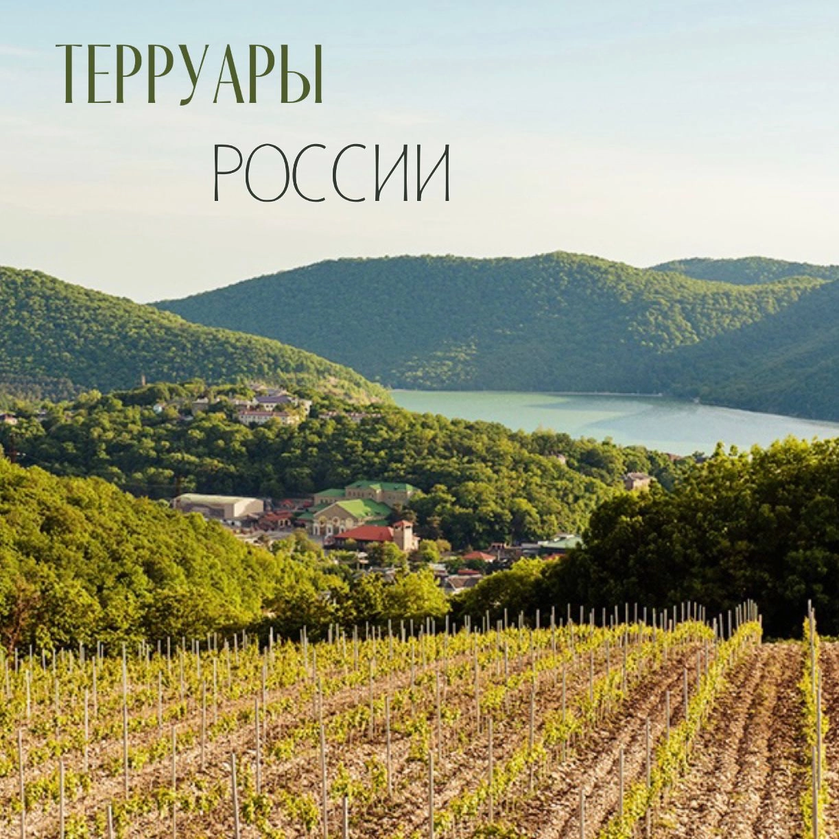 Терруары России