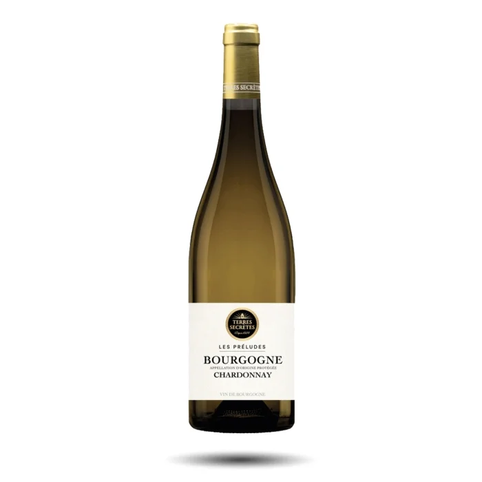 Вино Terres Secretes Macon La Roche-Vineuse AOC  2021  750 мл 