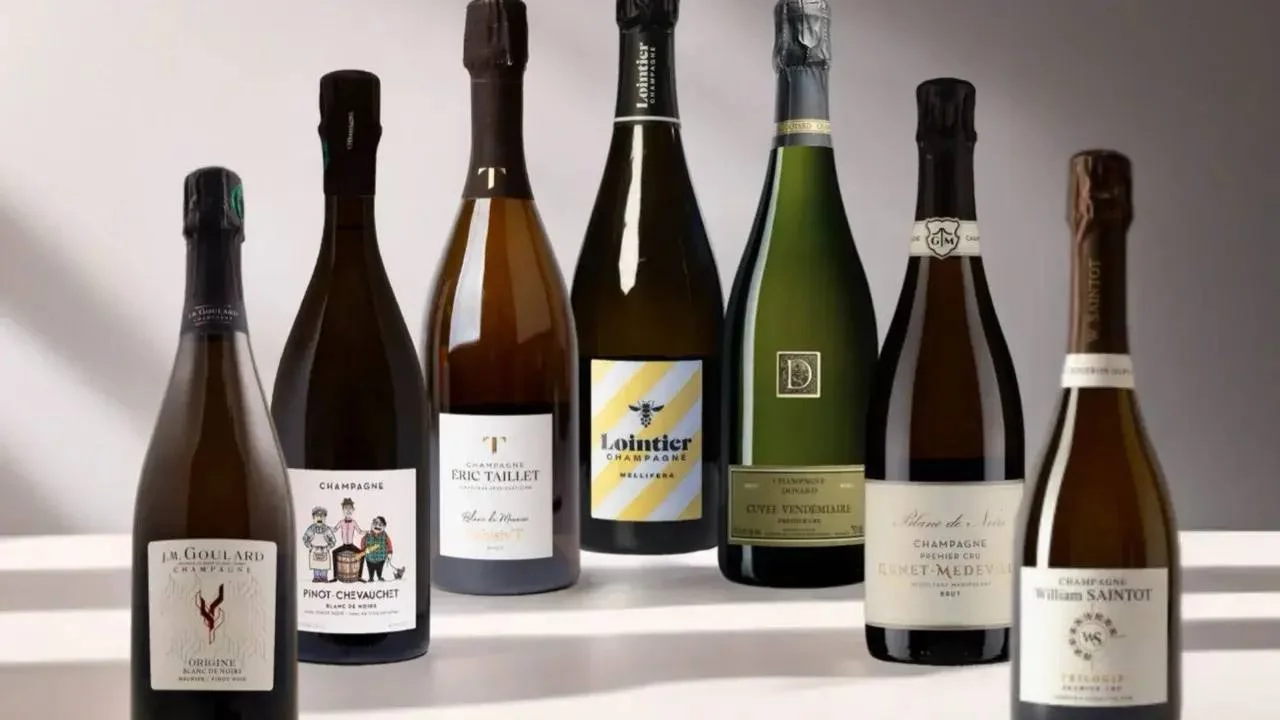 Шампанское от рекольтанов и небольших шампанских домов