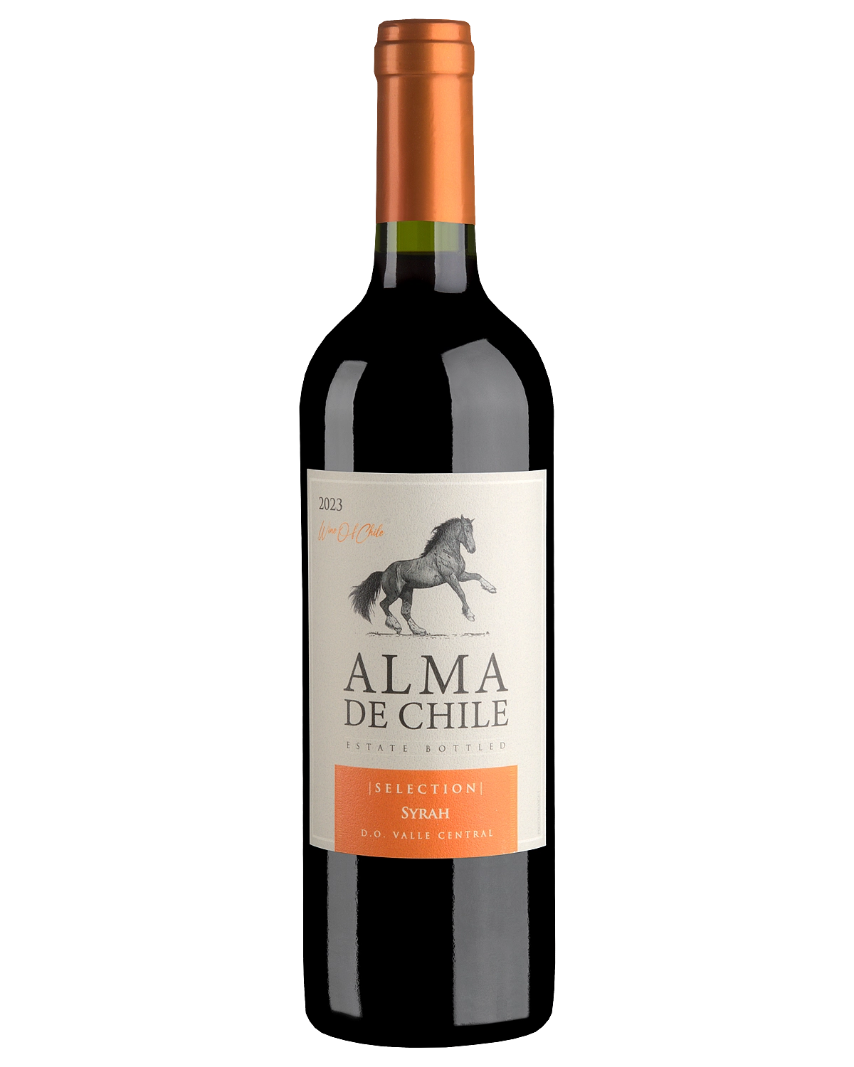 Вино Alma de Chile Syrah  2023  750 мл