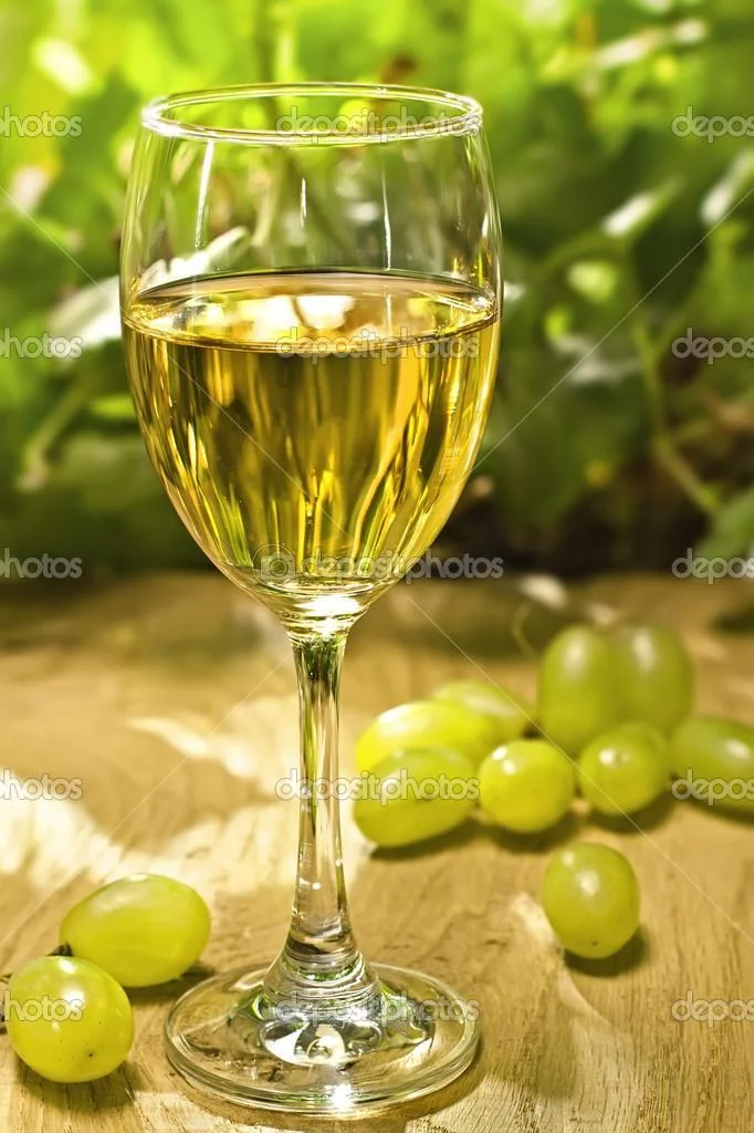 Вино Marqués del Atrio ChitOn Rioja White Маркес дель Атрио Читон Риоха 2015 750 мл