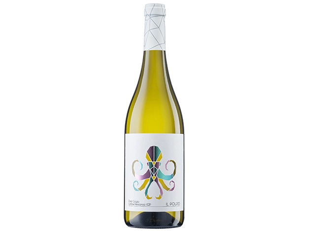 Вино   Il Polpo Pinot Grigio IGP Colline Pescaresi dry white 2023 750 мл  12,5 %