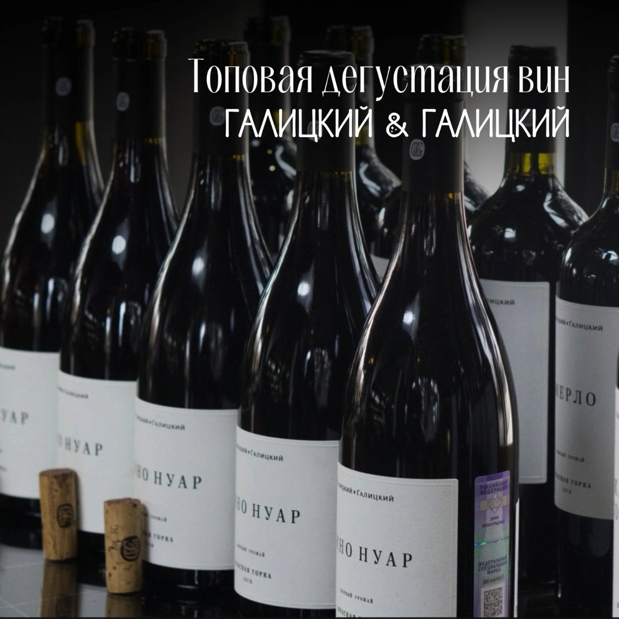 Дегустация вин Галицкий &Галицкий