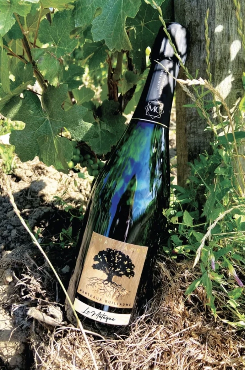 Шампанское GUILLAUME MARTEAUX Le Meteque 2017 750 мл 12,5%