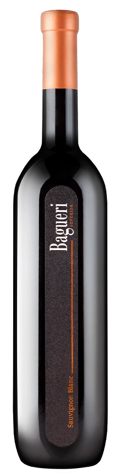 Вино  Klet Brda, Goriska Brda  Sauvignon Blanc Bagueri Superior  2019 750 мл  13,5 %