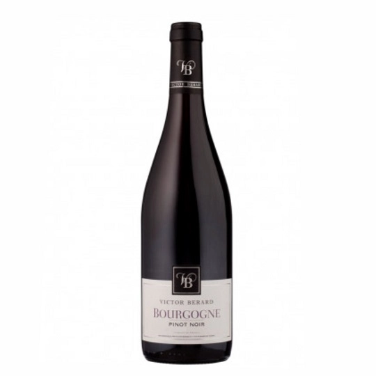 Вино Victor Berard Bourgogne Pinot Noir -   2021  750 мл 12,5%