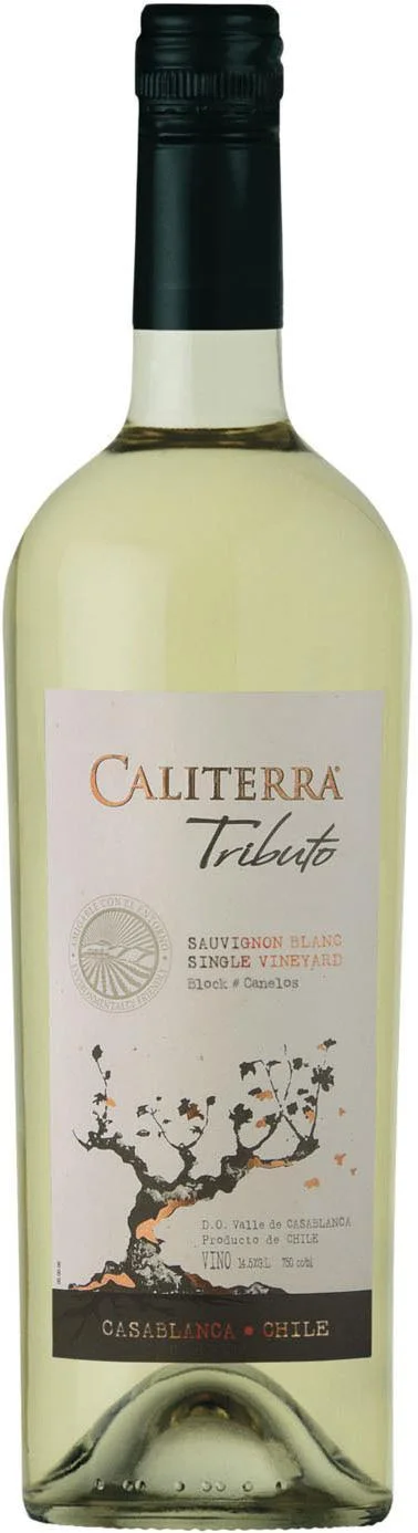 Вино Sauvignon Blanc "Tributo" DO, "Трибьюто" Совиньон Блан, 2012, 0.75 л