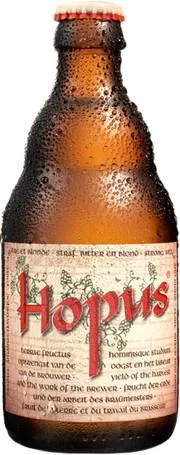 Пиво Lefebvre Hopus Хопус 330 мл
