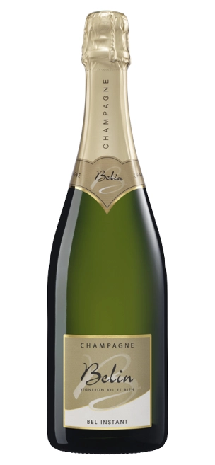 Шампанское Belin Bel Instant Brut   750 мл