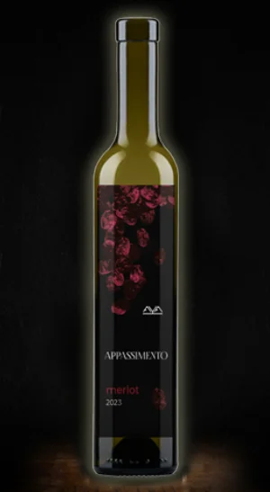 Вино Aya Organic Wine Appassimento merlot  375 мл 12 %