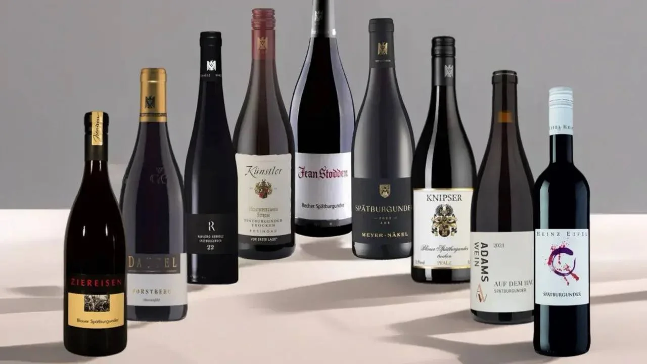 Шпетбургундер: путешествие по Германии