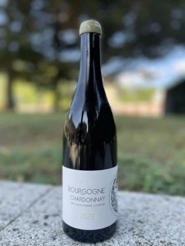 Вино Maison Aires & Soltana Bourgogne Chardonay  2022  750 мл