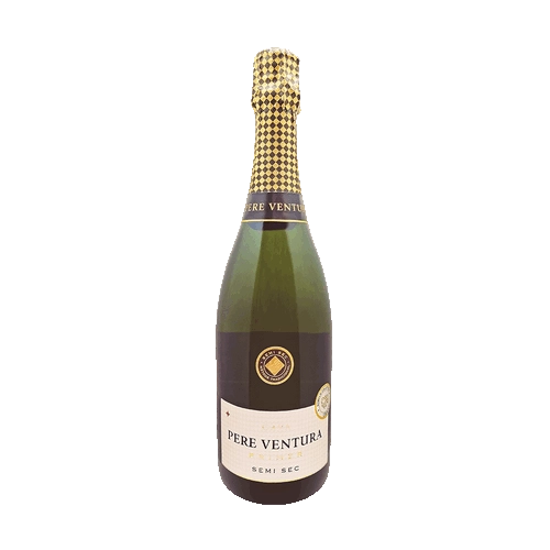 ВИНО ИГРИСТОЕ  Cava Pere Ventura Primer Reserva  semi sec 750 мл