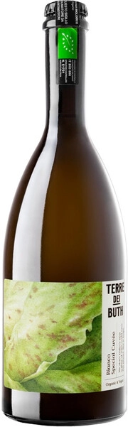 Игристое вино Terre dei Buth Bianco Special Cuvee Brut  750 мл