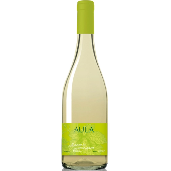 Вино  AULA MACABEO SAUVIGNON BLANC  Аула Макабео Совиньон Блан белое сухое 2019 750 мл