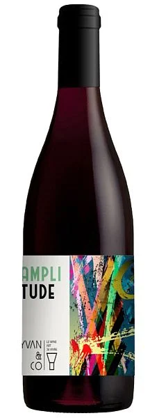 Вино Yvan & Co Amplitude Pays d’Oc IGP  2020  750 мл 