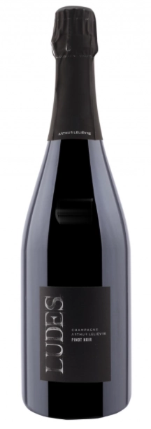 Шампанское Arthur Lelièvre Ludes Pinot Noir Extra Brut  2021  750 мл  