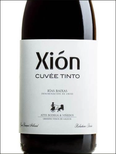 Вино Attis Bodegas y Vinedos Rias Baixas Xion Cuvee Tinto  2019 750мл