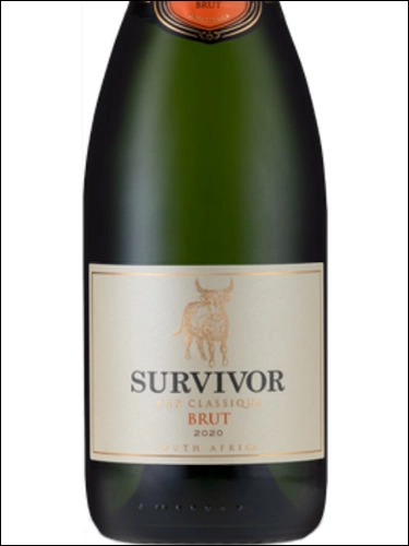 Игристое вино Survivor Cap Classique Brut  2020  750 мл
