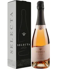 Игристое вино  Masachs Cava Selecta Brut Nature  Rose gift  box  2024 750 мл 11.5%