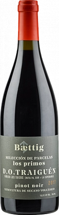 Вино Baettig    Los Parientes Pinot Noir   2019    750 мл