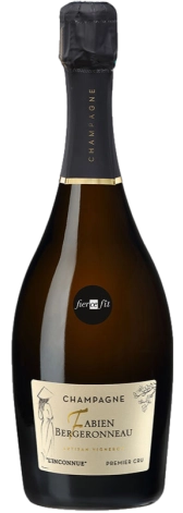 Шампанское FABIEN BERGERONNEAU L'Inconnue Blanc de Blancs Brut  2022   750 мл 