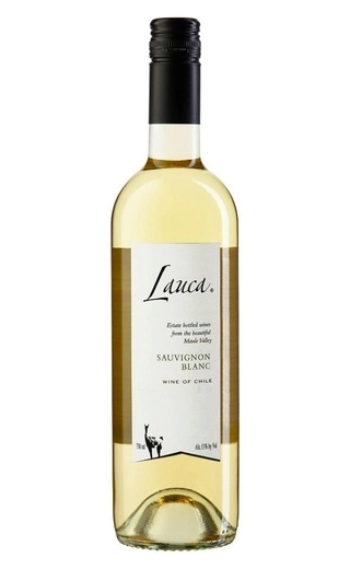 Вино Lauca Sauvignon Blanc  Maule Valle DO  750 мл