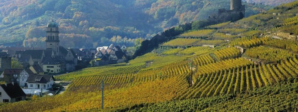 Гран Крю Эльзаса