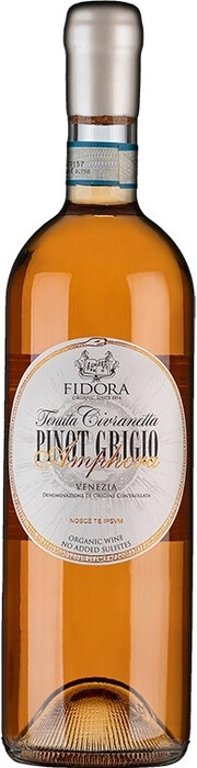 Вино   Fidora  Pinot Grigio Amphora, Venezia DOC   Фидора Пино Гриджио Амфора   750 мл  13 %