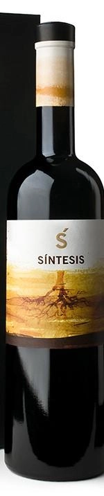 Вино  Vinos Vina Eelena Síntesis    2012 750 мл