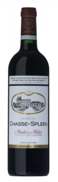 Вино Chateau Chasse-Spleen 2021 750 мл