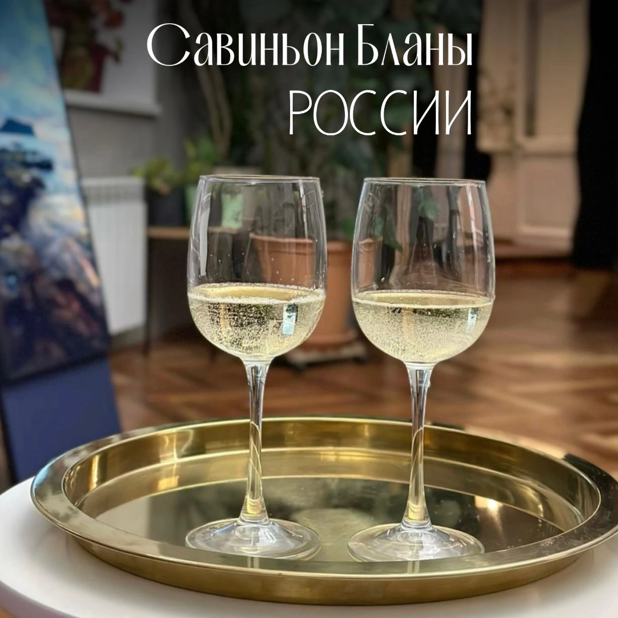 Совиньон Бланы России