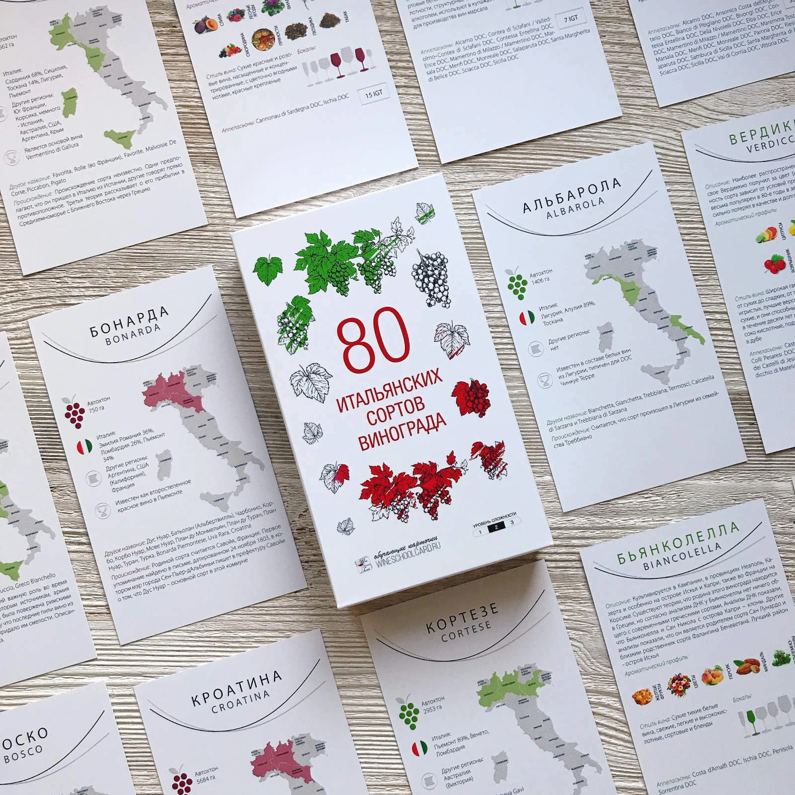 Обучающий набор 80 итальянских сортов винограда