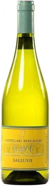 Вино Castellari Bergaglio Gavi Salluvii DOCG Кастеллари Бергальо Гави Саллувий 2015 750 мл